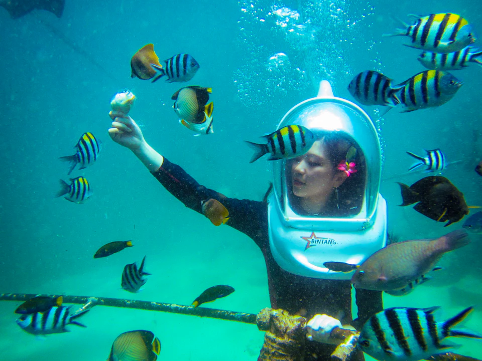 Mangrove & Snorkeling Adventure with a visit to Turtle Island. Price
